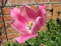 IMG_3416.webp