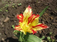 IMG_3417.webp