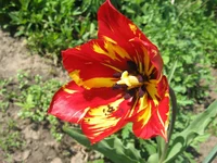 IMG_3424.webp