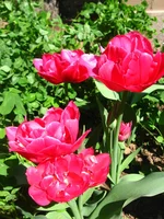 IMG_3438.webp