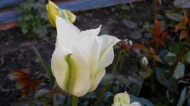 2014507085946.webp