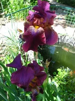IMG_3462.webp