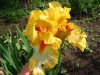 IMG_3464.webp