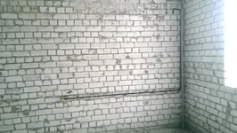 IMAG0559_1.webp