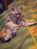 20140419_193645.jpg
