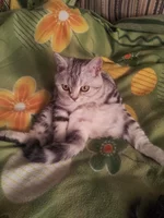20140427_111116.jpg