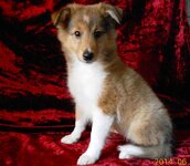 DSCN4349.jpg
