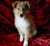 DSCN4374.webp