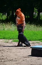 iZljpmV4j4c.webp