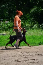 RS7jGrTqxWY.webp