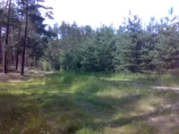 29062014746.jpg