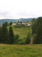 P1010757.webp