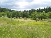 P1010772.JPG