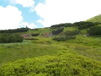 P1011057.JPG