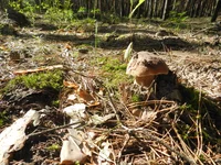 DSCN5714.jpg