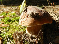 DSCN5715.jpg