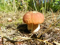 DSCN5722.webp