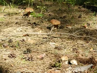 DSCN5735.jpg