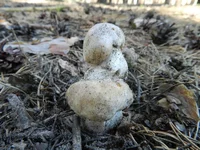 DSCN5738.jpg