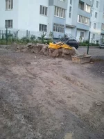 WP_000929.webp