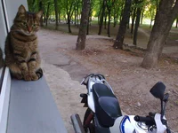 20140503-0004.webp