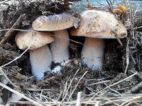 20147020759211.jpg