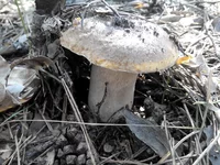 20147020812041.jpg