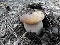 20147020839121.jpg