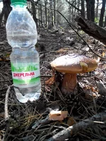 20147020859491.jpg