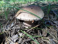 20147020907291.jpg