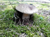 20147021005131.jpg