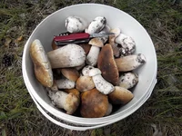 20147021058171.jpg