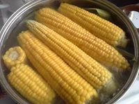 20140703_120143.webp