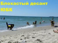 100_5803.webp
