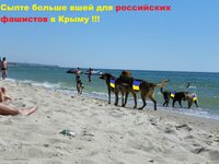 100_5805.jpg