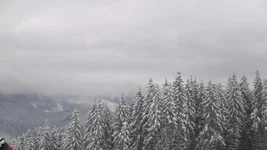 2013-02-06-573.webp