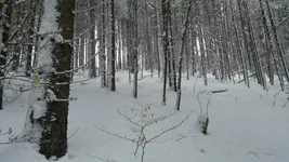 2013-02-09-616.webp