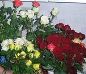 Изображение 018-1.jpg