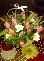 IMAG0382-1.jpg