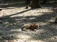  экопарк (2).webp