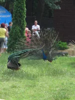  экопарк (41).webp