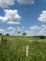  (5).webp