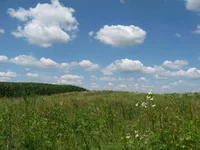  (9).webp