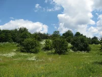  (13).webp