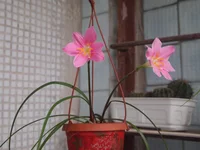 P7075622.webp