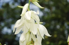 DSC_0123.webp