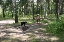 image.jpeg5.webp