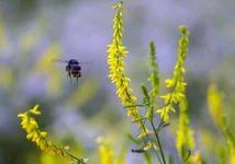 FOTO8069.webp