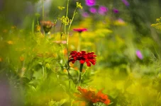 FOTO7995.webp