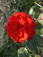 _1013404 изм..webp